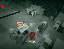 Real-Time Weapon & Violence Detection